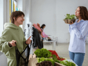 Why New Seasons Market Jobs Could Be Your Next Career Move Seasons Market Jobs