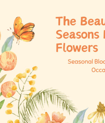 The Beauty of New Seasons Market Flowers Year Round The Beauty of New Seasons Market Flowers Year Round